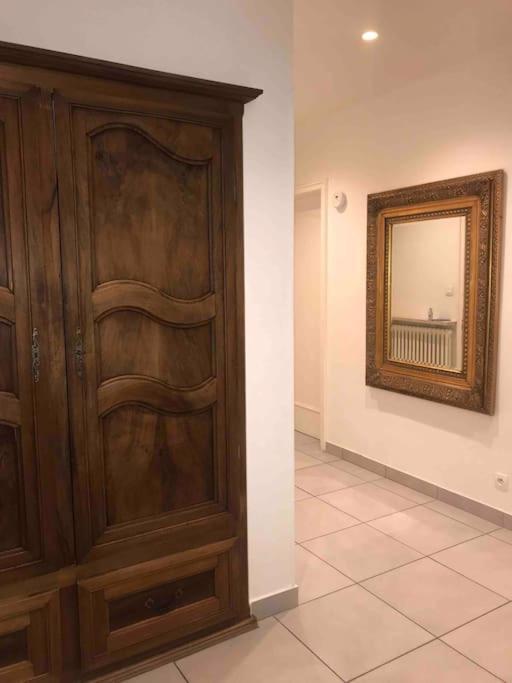 Appartement Des 3 Pays. 2 Mn De Bale+ Free Parking サン・ルイ エクステリア 写真