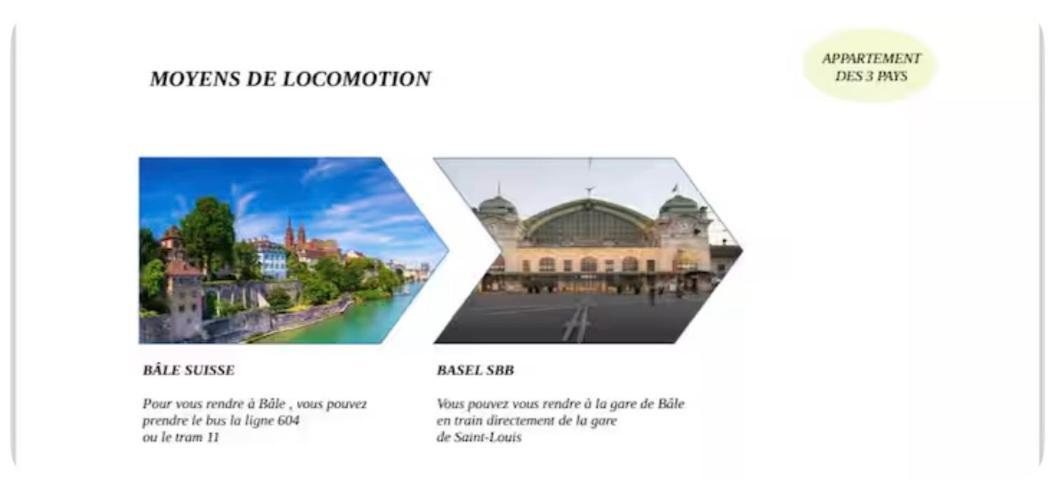 Appartement Des 3 Pays. 2 Mn De Bale+ Free Parking サン・ルイ エクステリア 写真