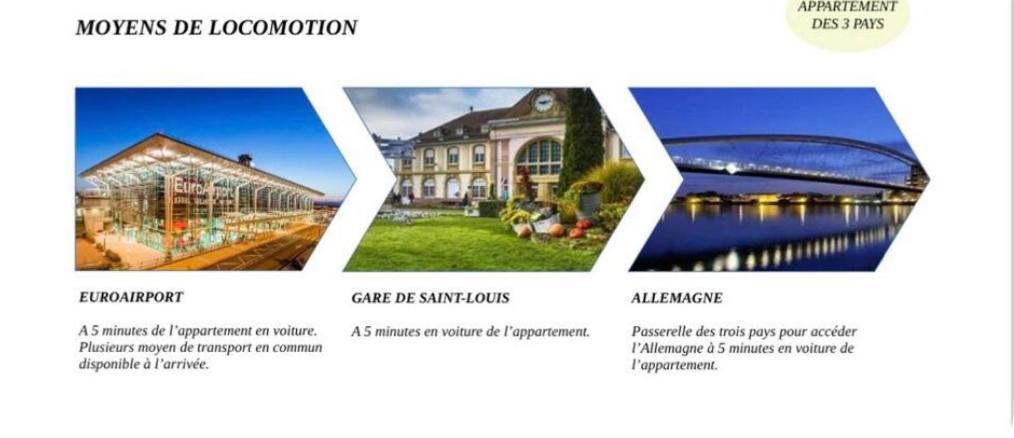 Appartement Des 3 Pays. 2 Mn De Bale+ Free Parking サン・ルイ エクステリア 写真
