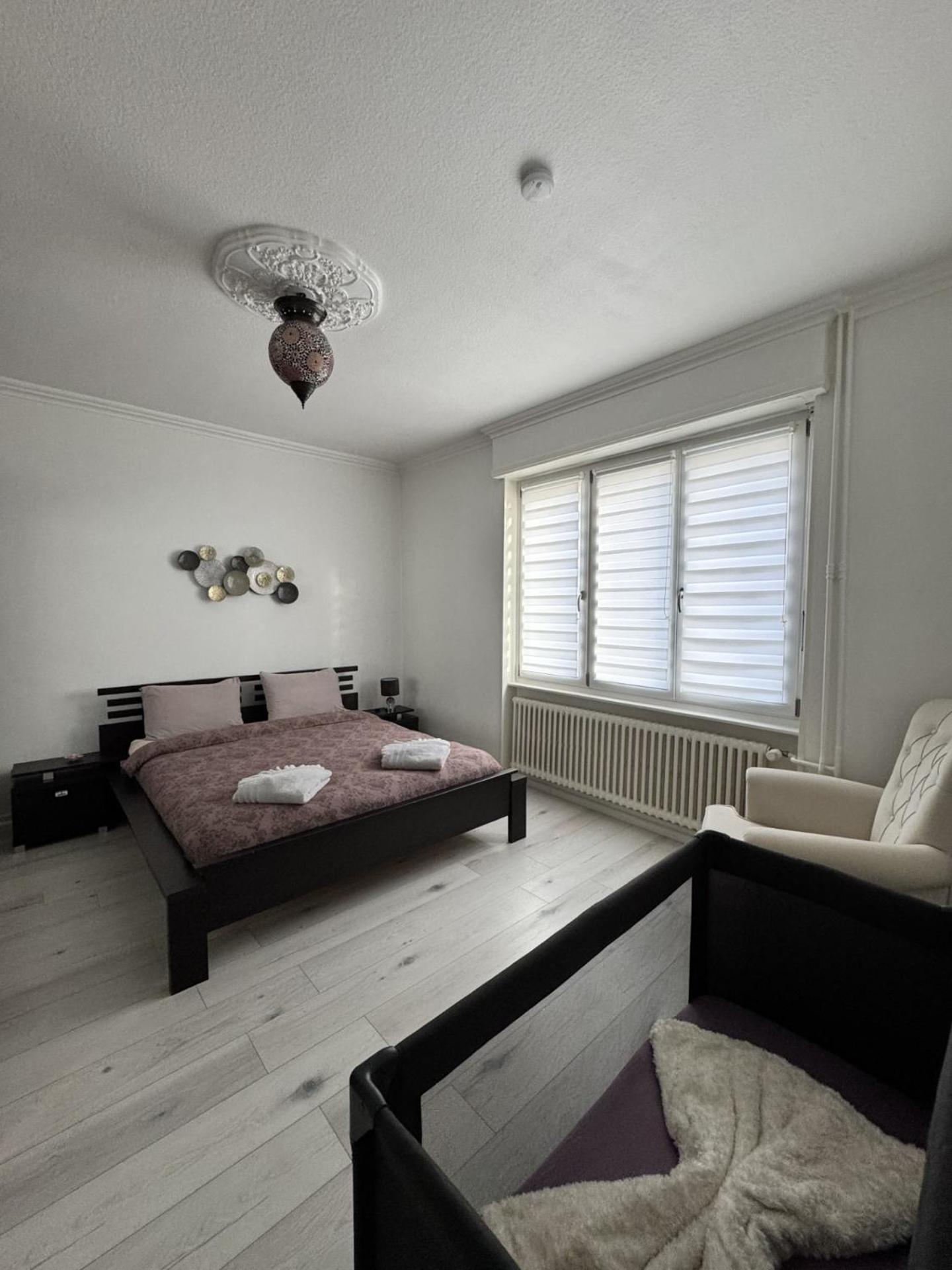 Appartement Des 3 Pays. 2 Mn De Bale+ Free Parking サン・ルイ エクステリア 写真